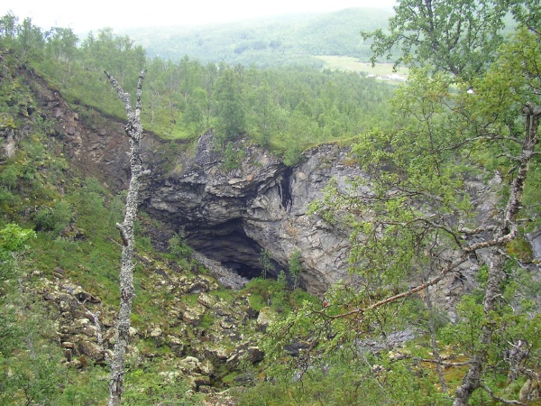 Steinuglefloget